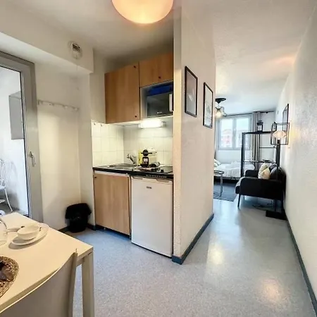 Cosy Appt, Hyper Centre France Appartement Grenoble