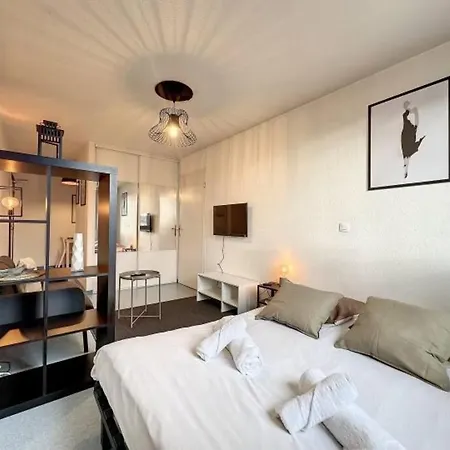Cosy Appt, Hyper Centre France Grenoble
